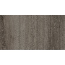 Дуб европейский FP953